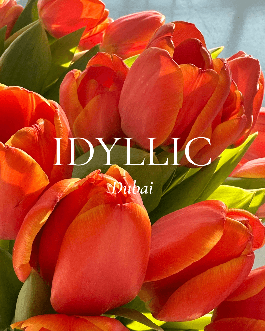 Idyllic In Bloom — campaign 1