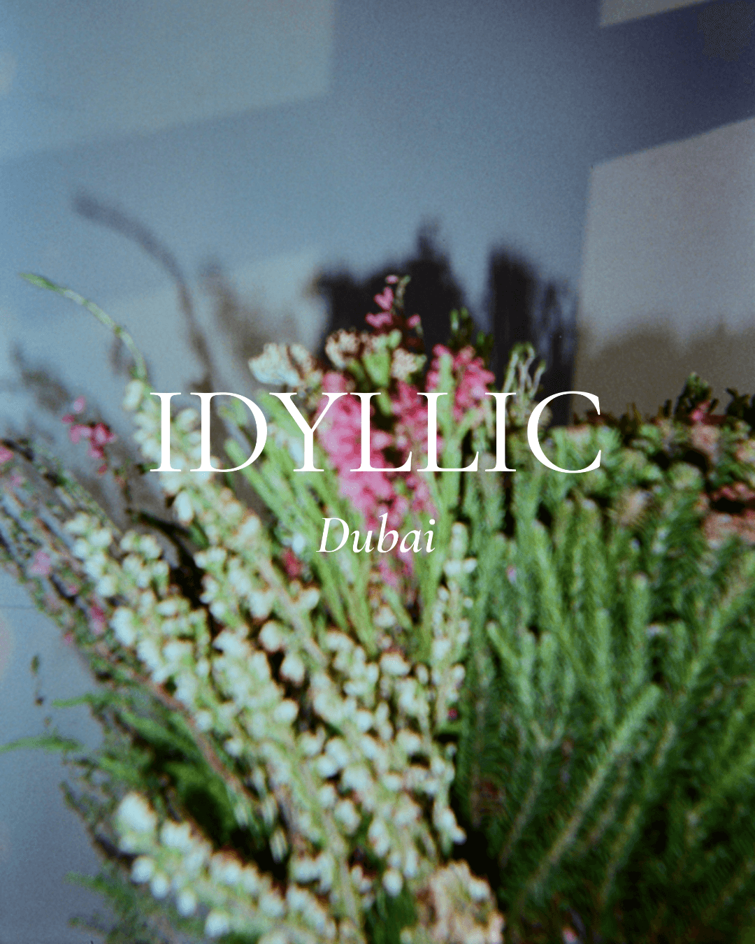 Idyllic In Bloom — campaign 4